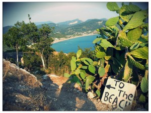 Blick vom Bergdorf Afionas auf Agios Georgios