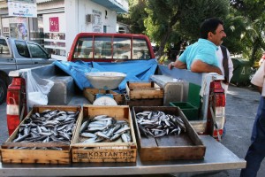 Mobiler Fischmarkt auf Chalkidiki