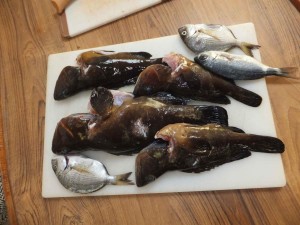 frischer-fisch-corfu